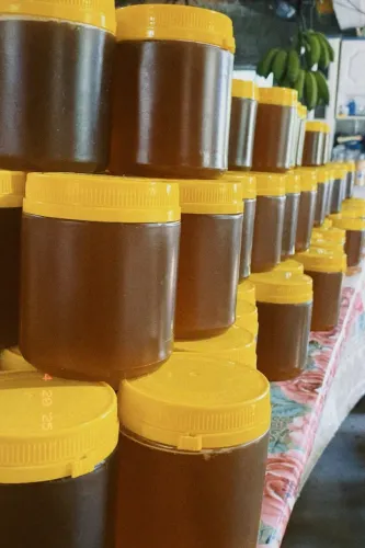 Mel Puro 100% Natural 1kg - Serra Gaúcha (Entregamos na Estação de Trem)