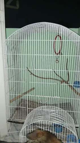 GAIOLAS R$150,00