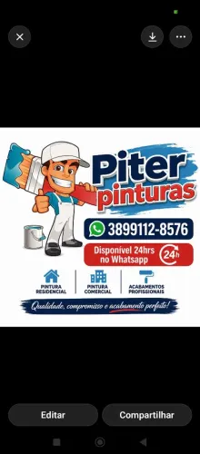 Pintor Profissional