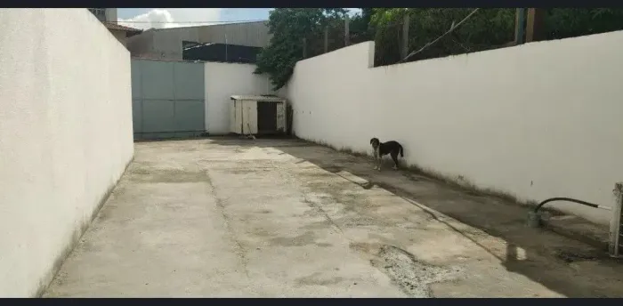 Galpão paralelo a Lindember para aluguel tem 300 m² em Nossa Senhora da Penha - Vila Velh