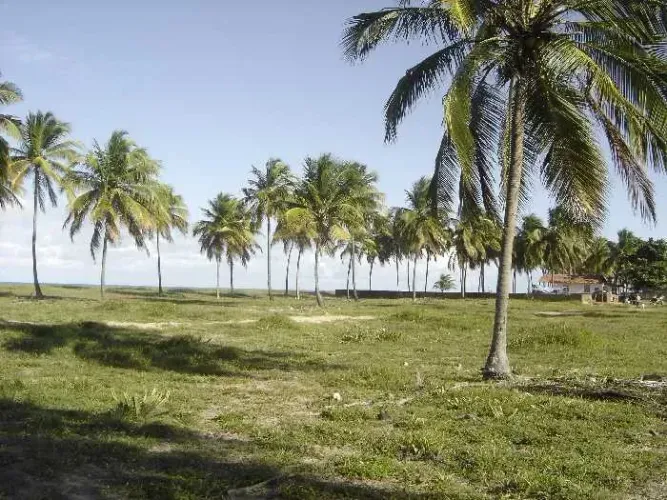 Ótimo Terreno para venda com 468 m² em Barra do Sirinhaém - PE, à 80 metros da Praia