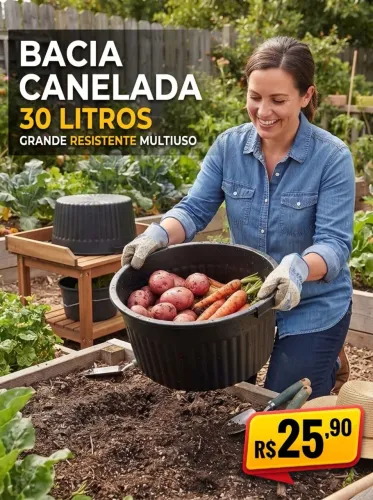 Utilidades domésticos