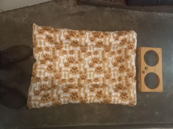 Cama pet + um brinde!