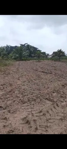 Vendesse terreno