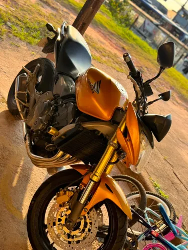 Hornet 2009/2010