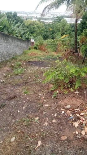 Terreno