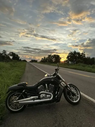 Harley-Davidson V-Rod Muscle 1250cc 2015 - 40.000 km - Super conservada