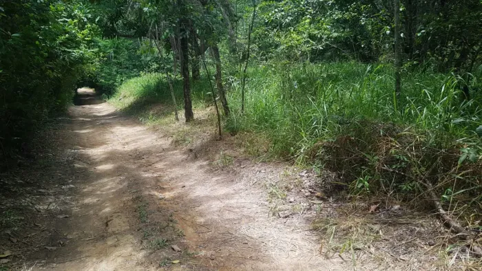 Chácara 2 quartos para Venda Boqueirão , Brasília