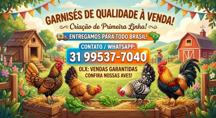 Venda de Aves 
