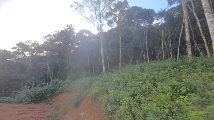 CHÁCARA 5.000m² EM MARECHAL FLORIANO | TERRA FRIA | ACEITO TROCAS E VEÍCULOS DE LEILÃO,