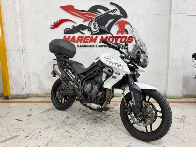 Triumph TIGER Gasolina Manual