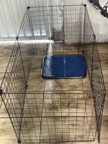 Cercadinho de cachorro 
