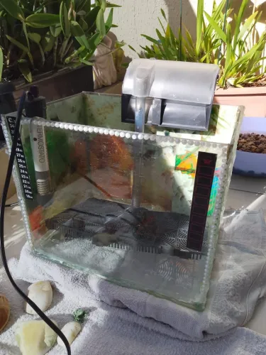 AQUÁRIO COMPLETO