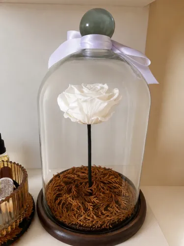 Vendo Rosa eterna branca