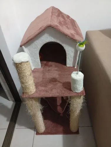 Casinha para Gato