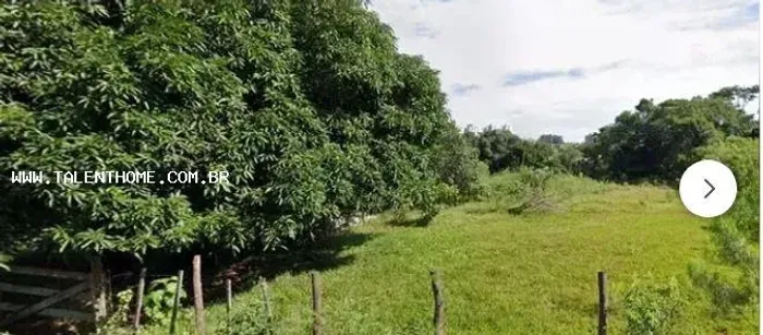 Terreno para Venda em Londrina, Condomínio Vale do Arvoredo
