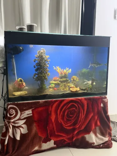 Aquário 300 litros completo