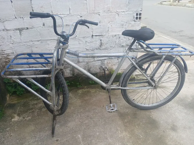 Bicicleta cargueira