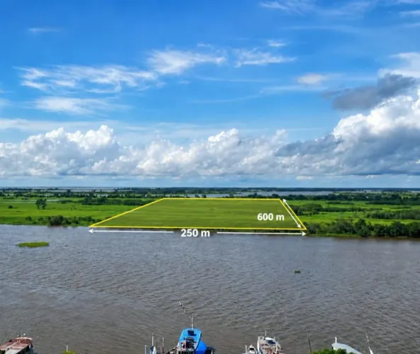 VENDO TERRENO NA VÁRZEA - EM FRENTE À CIDADE DE MONTE ALEGRE/PA