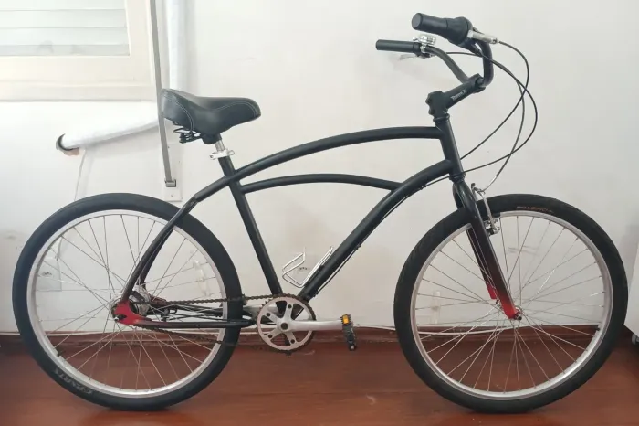 Bicicleta Retro - Shimano Nexus