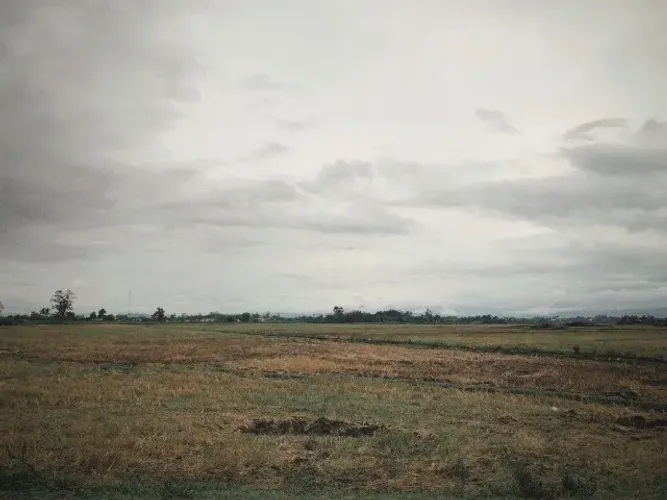 Terreno 8x20