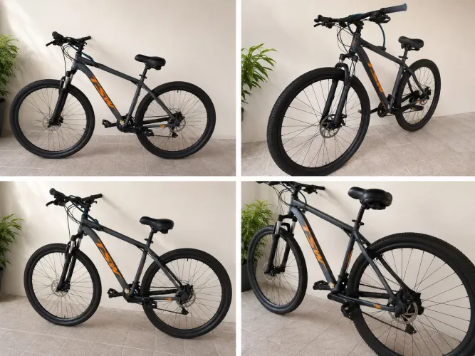 Bicicleta TSW HUNCH