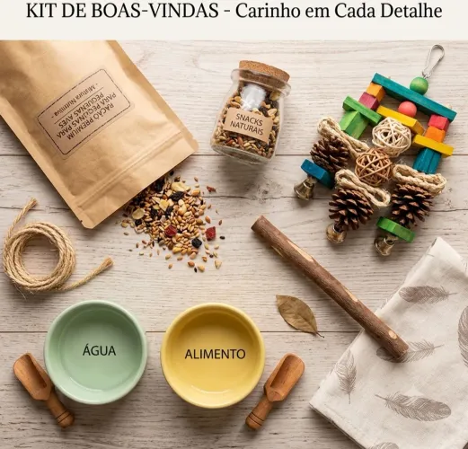BOAS VINDAS KALOPSIT@S