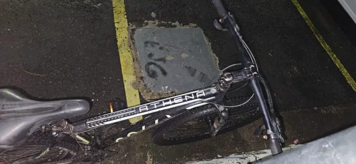Bicicleta Colli pedra c/ verde ATHENA aro 29