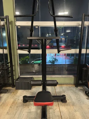 Máquina Puxada Articulada para Costas - Profissional - Excelente Estado