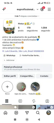 Pintor profissional ?