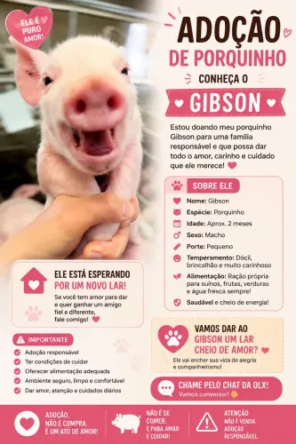Adoção responsável