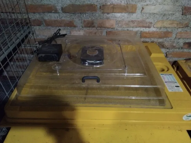 Chocadeira com kit aviário completo 