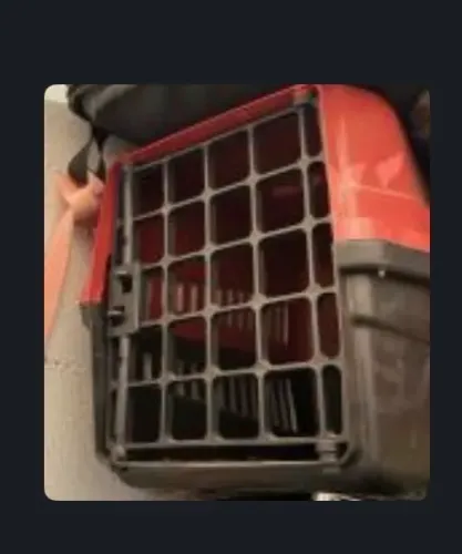Casinha de transporte para Pet - tamanho M