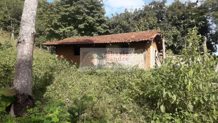 Fazenda para Venda em Nova Iguaçu de Goiás, Zona Rural, 1 dormitório, 1 banheiro, 1 vaga