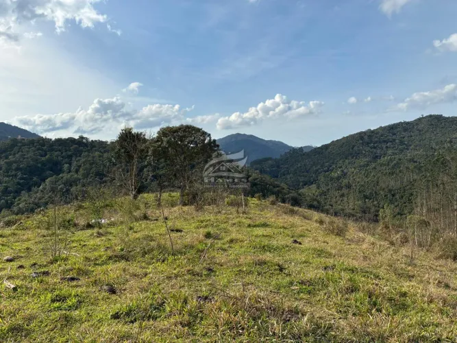 Terreno Rural para Venda em Angelina, ALTO GARCIA