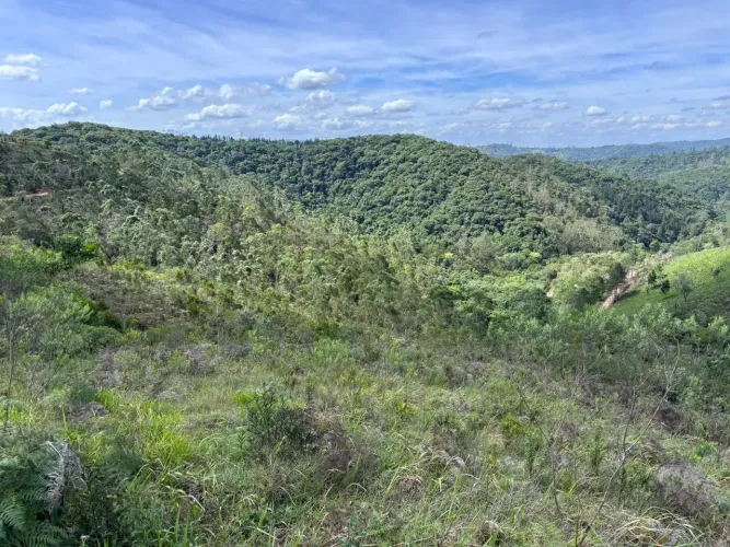 Terreno de 10 mil em São Lourenço da Serra SP