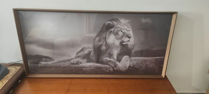 Quadro leão 