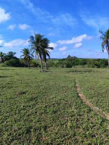 Excelente Fazenda com 183 hectares na região de pureza