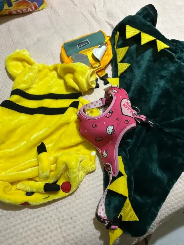 Roupa pet 