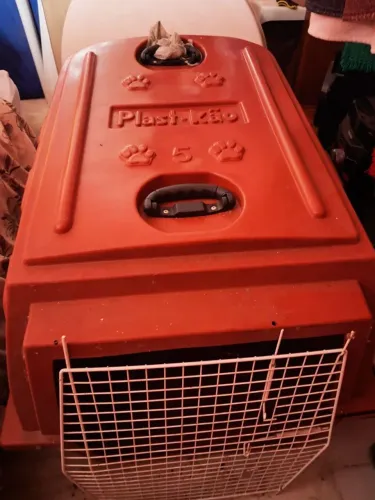 Caixa de cachorro de trasporte