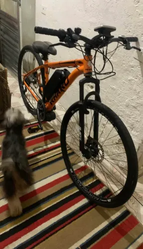 VENDO BIKE ELÉTRICA ARO 29
