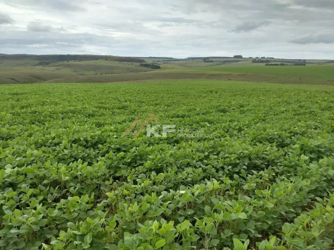 Fazenda a Venda no Triângulo Mineiro- Sacramento-MG