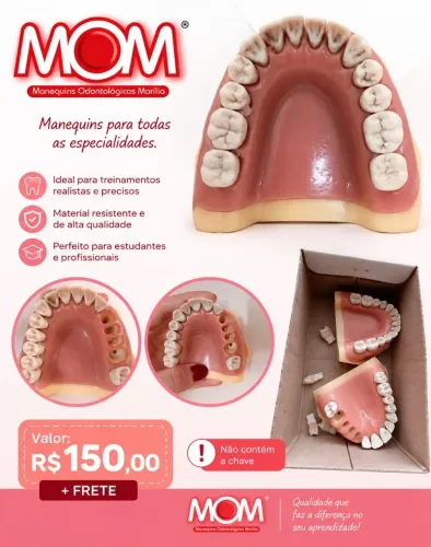Manequim de períodontia