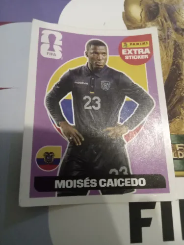 Figurinha da copa do mundo 2026: moisés caicedo regular