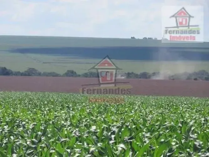Fazenda à venda, 2.100 HA - Dourados/MS