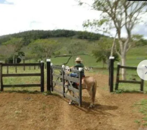 fazenda Bahia 5000 hectares totalmente empastados