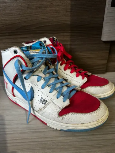 Nike dunk Sb ishod x magnus walker