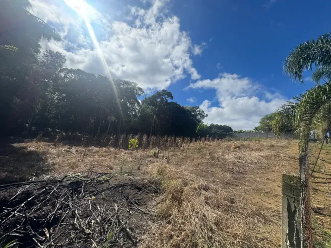 IBIÚNA-SP; Famosa pela Própria Natureza; E tamb à Terra da Sua Futura e Tão Sonhada Chácar