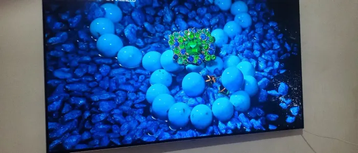 Tv oled lg.55