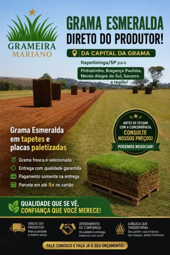 Grama esmeralda